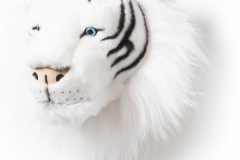 Bibib - tigre blanc